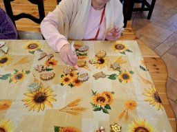 47015911410474671971812288157388998114141018n